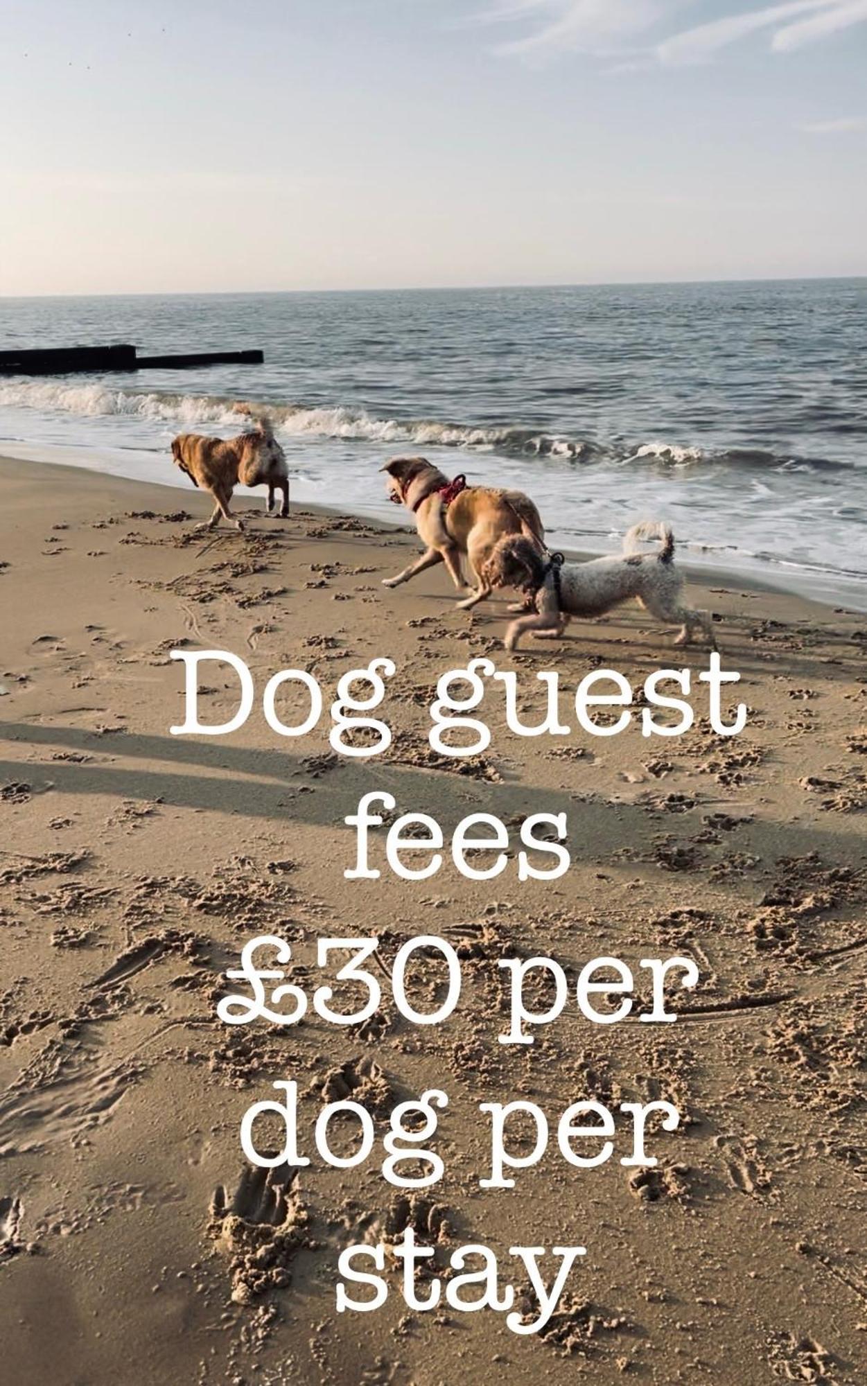 Coastal Terrace Dogs Welcome Optional Hot Tub Villa Sea Palling Esterno foto